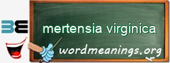WordMeaning blackboard for mertensia virginica